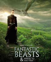 Fantastic Beasts and Where to Find Them /      